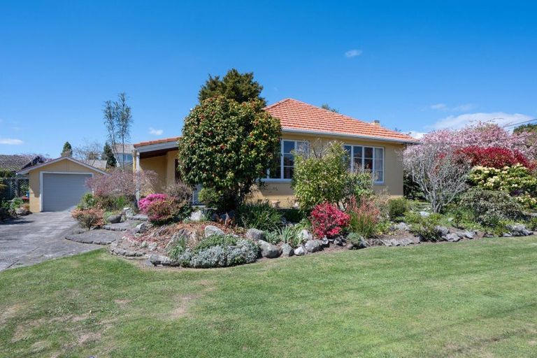 Photo of property in 23 Lynmore Avenue, Lynmore, Rotorua, 3010
