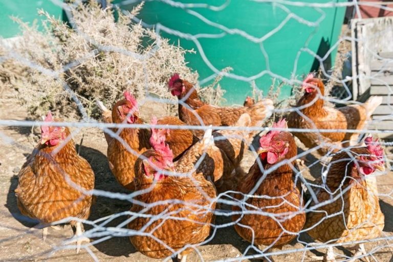 Photo of property in 346 Horokiwi Road, Horokiwi, Wellington, 5016