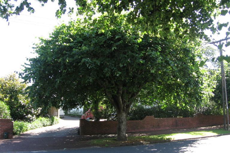 Photo of property in 22 Dromorne Road, Remuera, Auckland, 1050