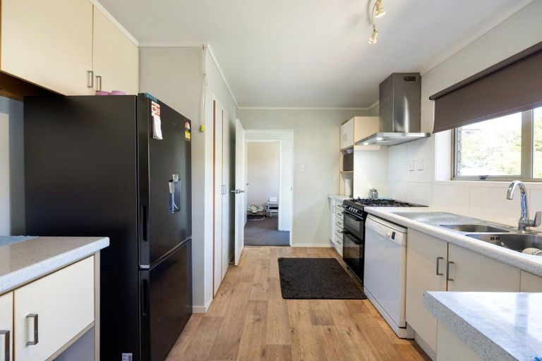 Photo of property in 66 Hazelwood Avenue, Dinsdale, Hamilton, 3204