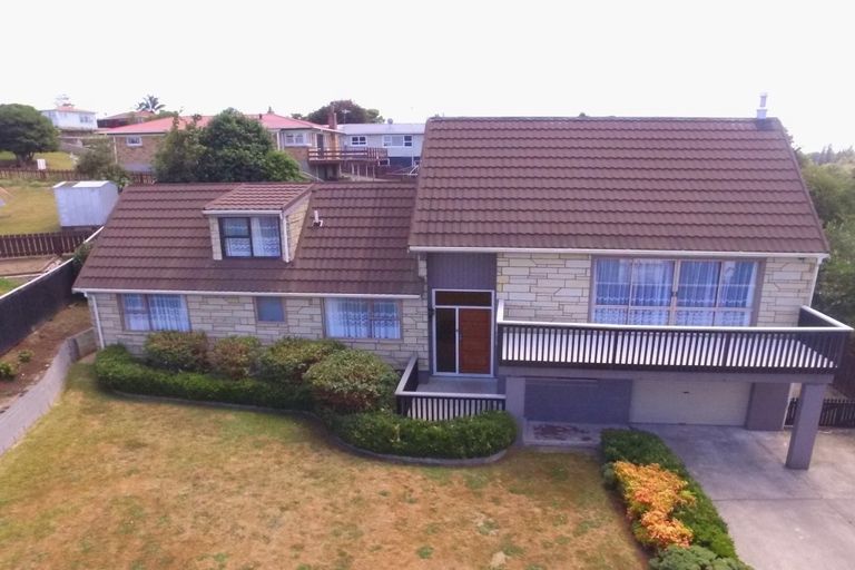 Photo of property in 20 Ruru Crescent, Putaruru, 3411