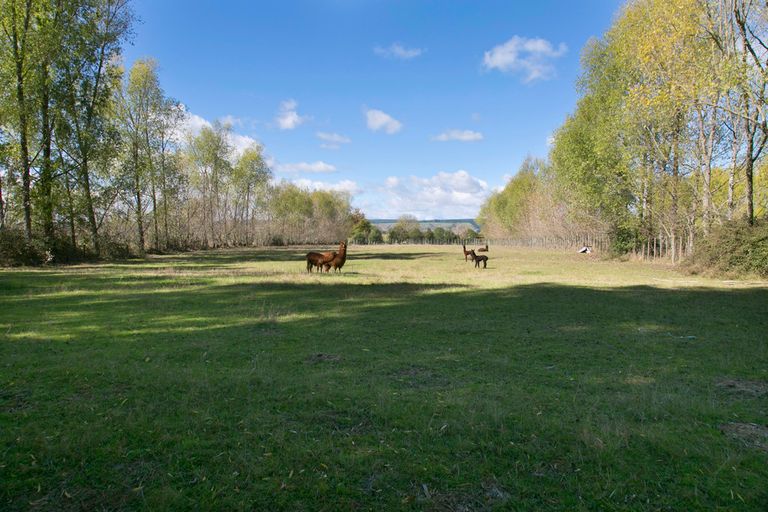 Photo of property in 1729 River Road, Broadlands, Reporoa, 3081
