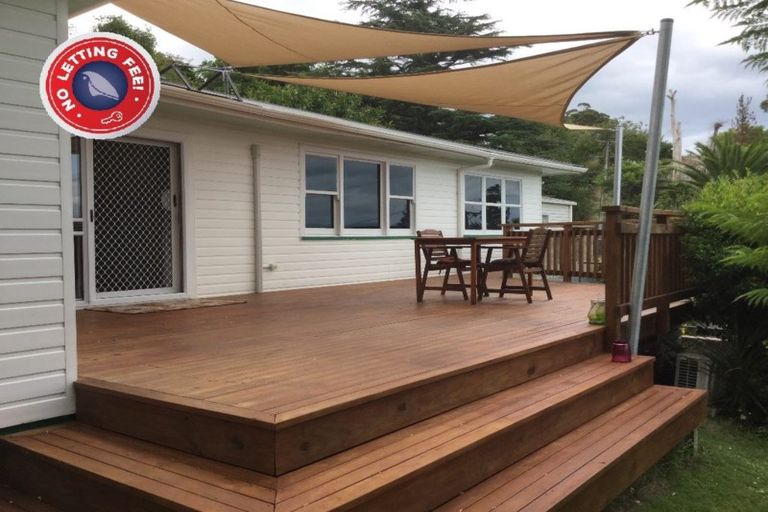 Photo of property in 45a Winter Street, Mangapapa, Gisborne, 4010