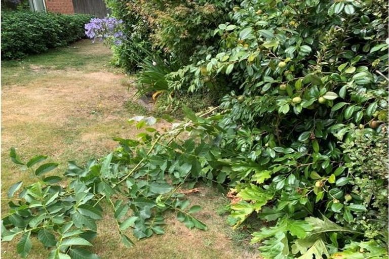 Photo of property in 7a Westburn Terrace, Burnside, Christchurch, 8041