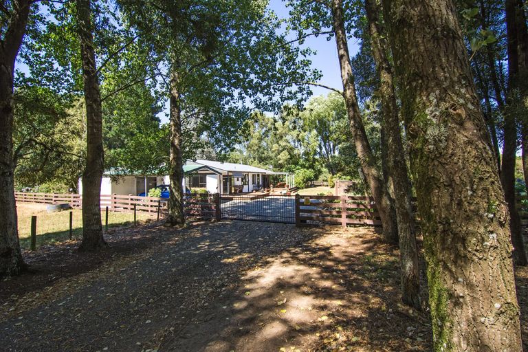 Photo of property in 317 West Bush Road, Upper Plain, Masterton, 5888