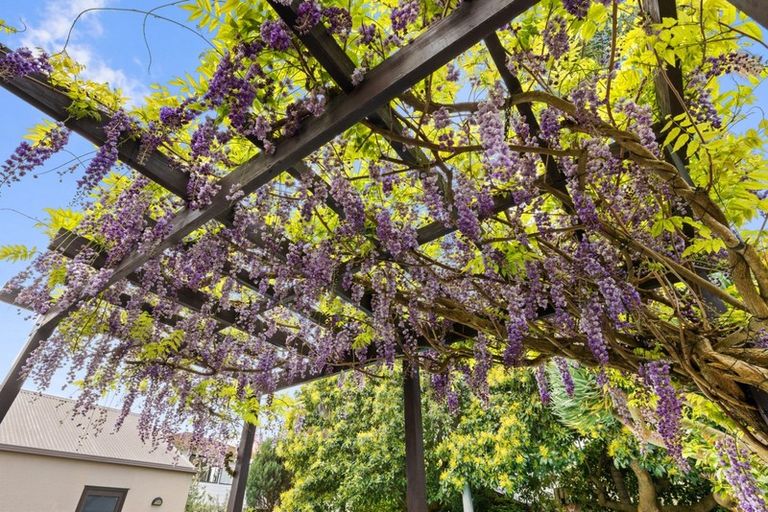 Photo of property in 67 Thirteenth Avenue, Tauranga South, Tauranga, 3112