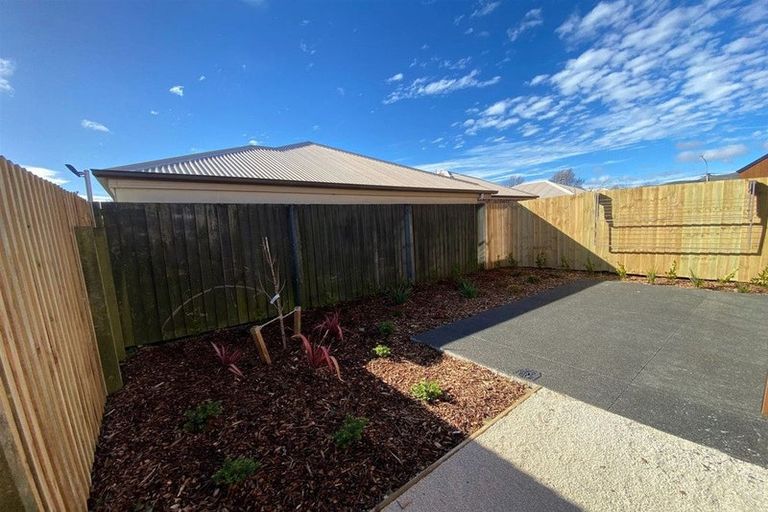 Photo of property in 5/9 Milton Street, Somerfield, Christchurch, 8024