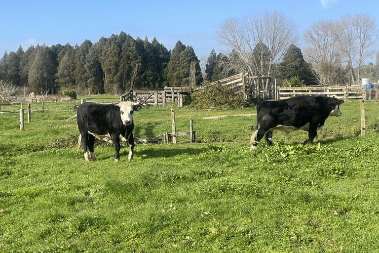 Photo of property in 943 State Highway 3, Hangatiki, Te Kuiti, 3985