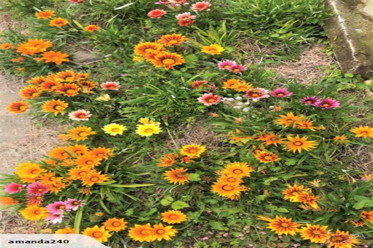 Photo of property in 10 Tamar Street, South Hill, Oamaru, 9400