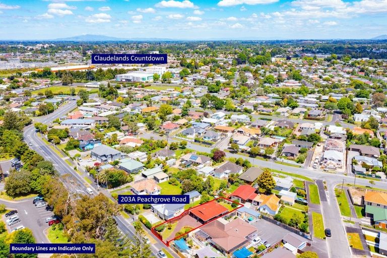 Photo of property in 203a Peachgrove Road, Claudelands, Hamilton, 3214