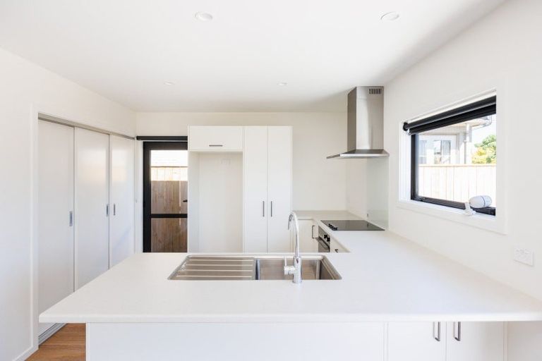 Photo of property in 49 Moheke Avenue, Roslyn, Palmerston North, 4414