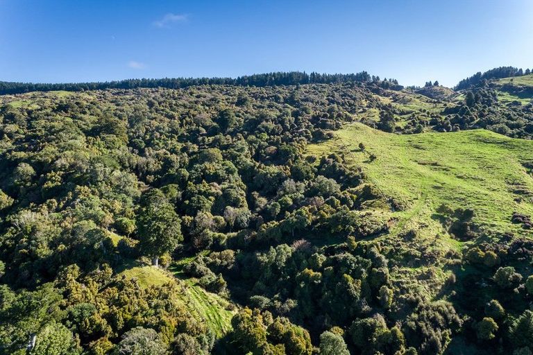 Photo of property in 3137 Taupo Road, Te Pohue, Napier, 4182