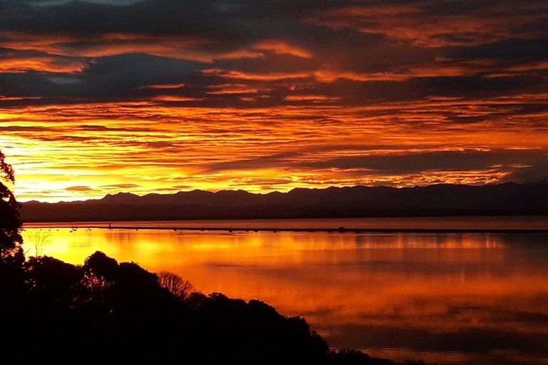 Photo of property in 14 Matuku Place, Atawhai, Nelson, 7010