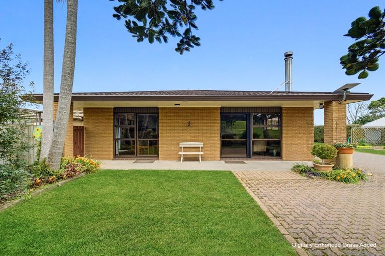 Photo of property in 101 Wily Road, Puni, Pukekohe, 2678