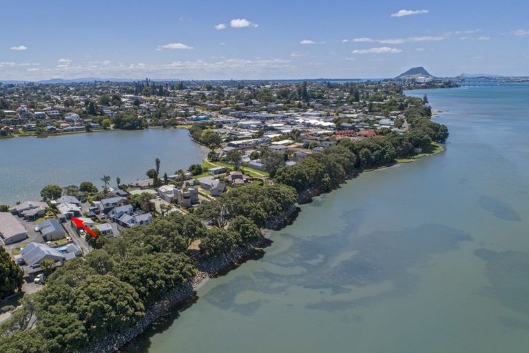 Photo of property in 1/85 Turret Road, Tauranga South, Tauranga, 3112