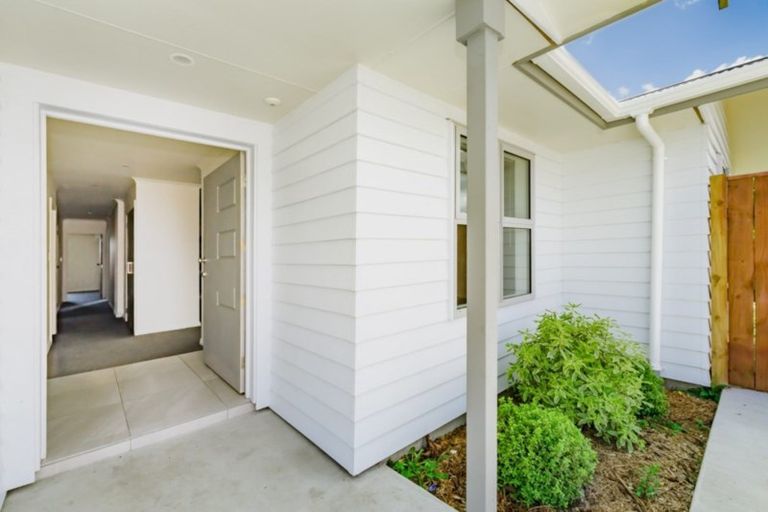 Photo of property in 91 Tiro Tiro Road, Levin, 5510