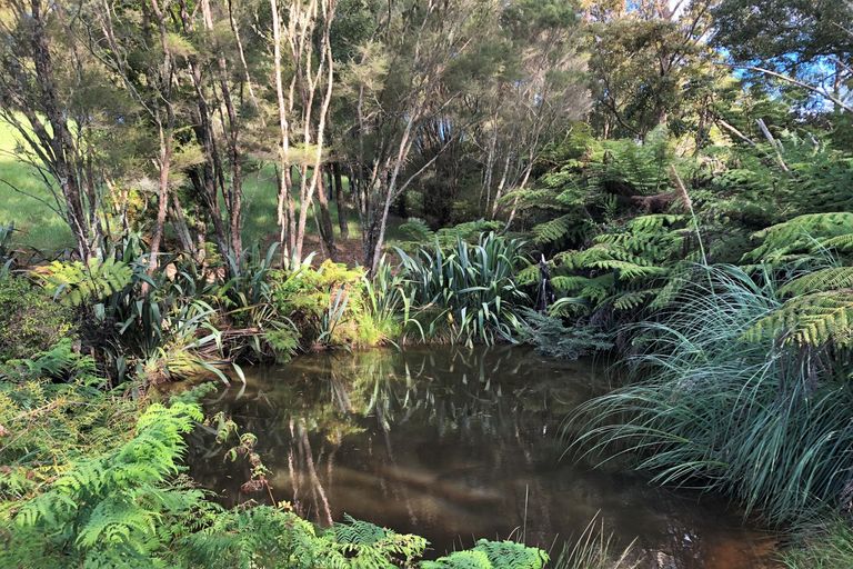 Photo of property in 11 Dip Road, Kaeo, 0479