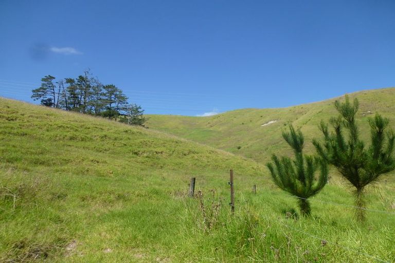 Photo of property in 7435a State Highway 1, Kaitaia, 0481