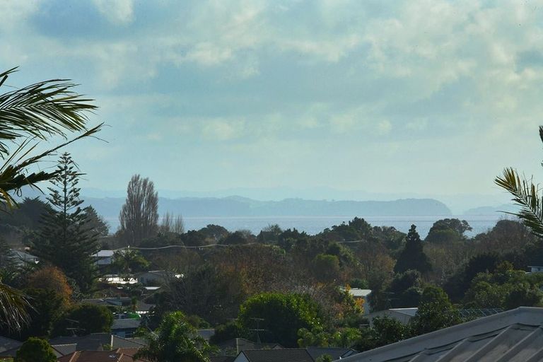 Photo of property in 836 Whangaparaoa Road, Manly, Whangaparaoa, 0930