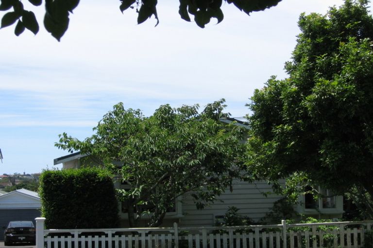 Photo of property in 88 Lloyd Avenue, Mount Albert, Auckland, 1025