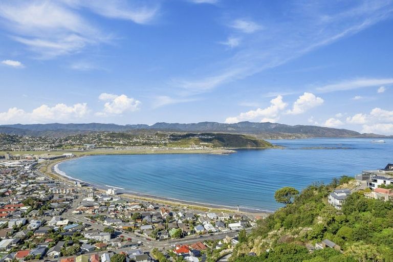 Photo of property in 105 Hornsey Road, Melrose, Wellington, 6023