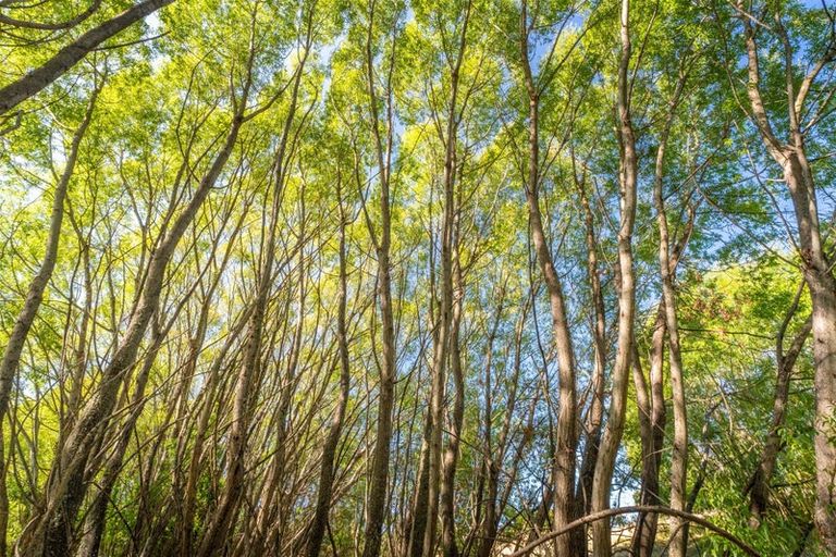 Photo of property in 50 Cliff Road, Tasman, Upper Moutere, 7173