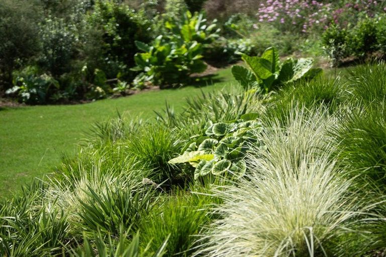 Photo of property in 5 Tunarau Street, Raglan, 3225