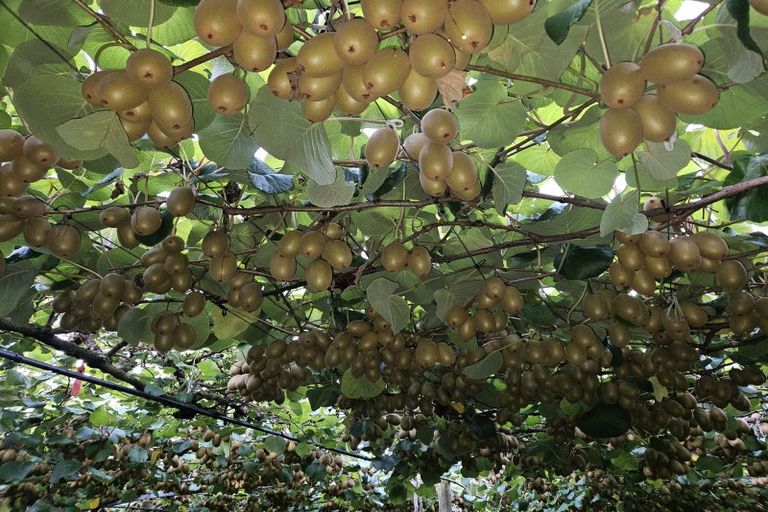 Photo of property in 96d Jensen Road, Omanawa, 3171