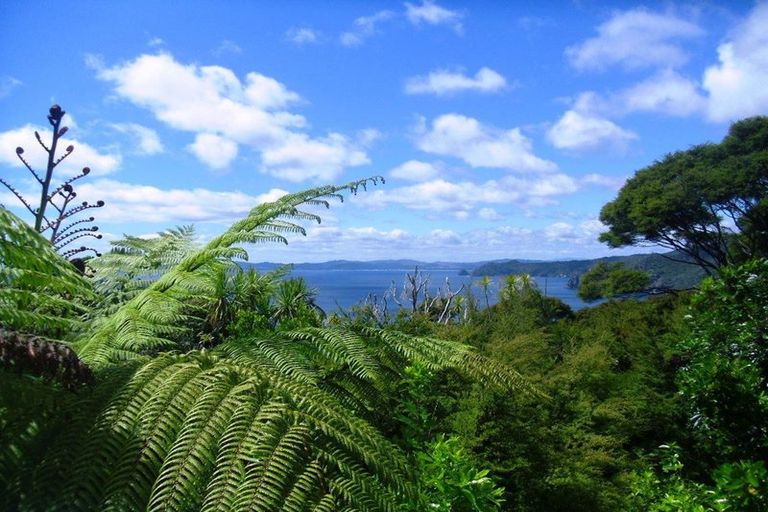 Photo of property in 510 Tuateawa Road, Tuateawa, Coromandel, 3583