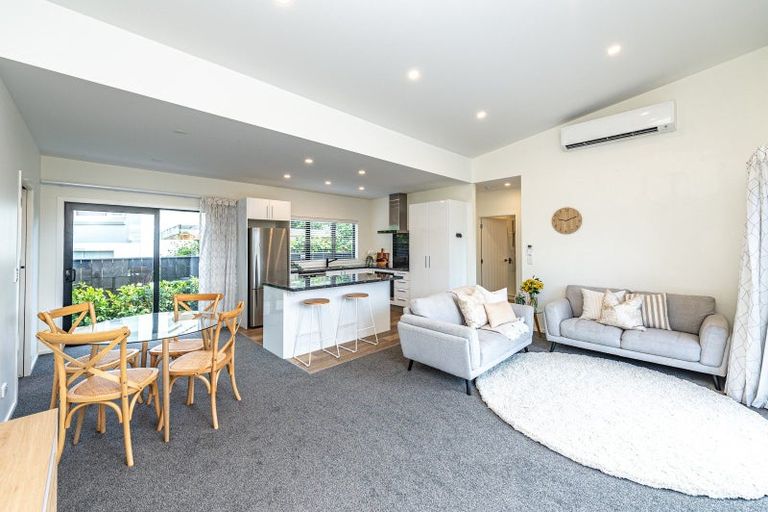 Photo of property in 49a Fitzherbert Avenue, Springvale, Whanganui, 4501