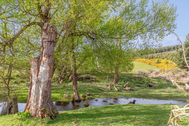 Photo of property in 948 Dipton Mossburn Road, Castle Downs, Dipton, 9791