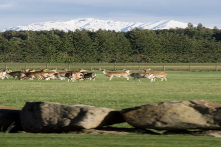 Photo of property in 18 Meadowlinks Lane, Pleasant Point, 7974