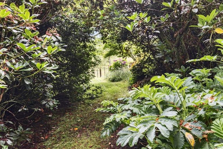 Photo of property in 488 Tapuwae Road, Maniaiti / Benneydale, Te Kuiti, 3987