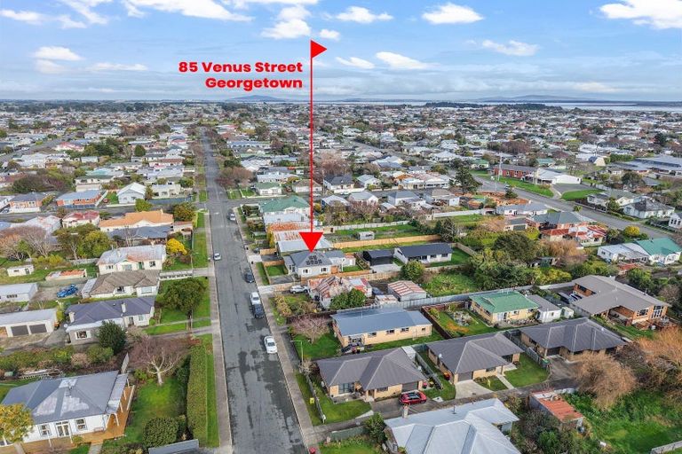 Photo of property in 85 Venus Street, Georgetown, Invercargill, 9812