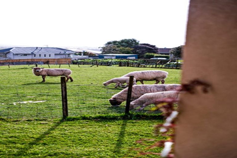 Photo of property in 380 Point View Drive, Shamrock Park, Auckland, 2016