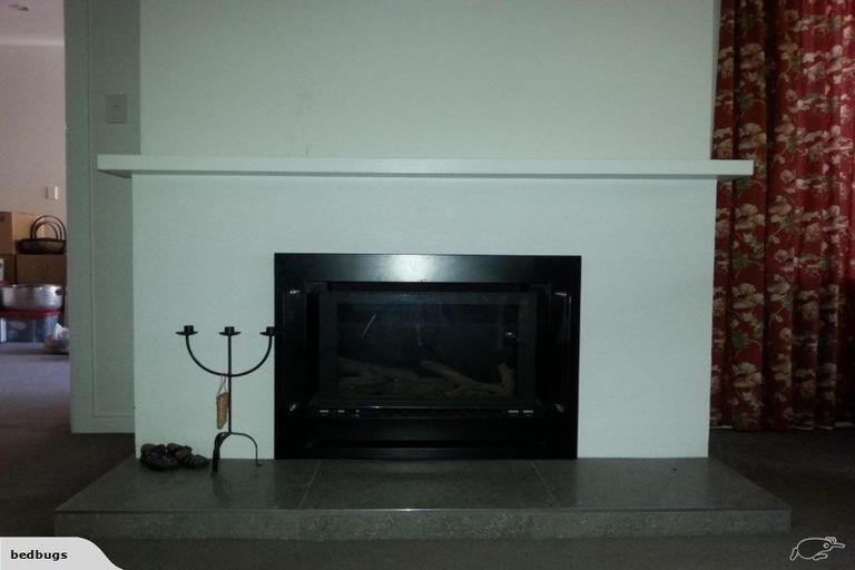 Photo of property in 14 Tui Street, Fendalton, Christchurch, 8041