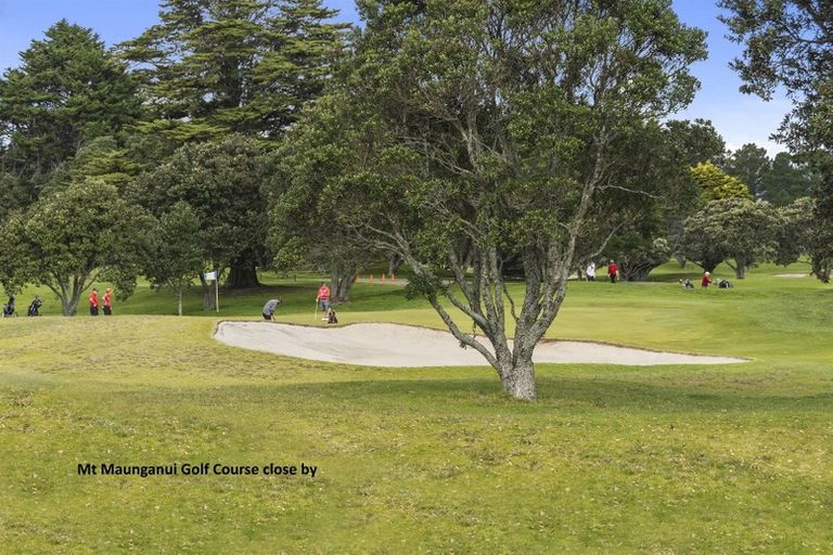 Photo of property in 41 Waitui Grove, Mount Maunganui, 3116