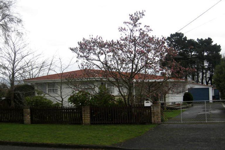 Photo of property in 12 Taverner Street, Carterton, 5713