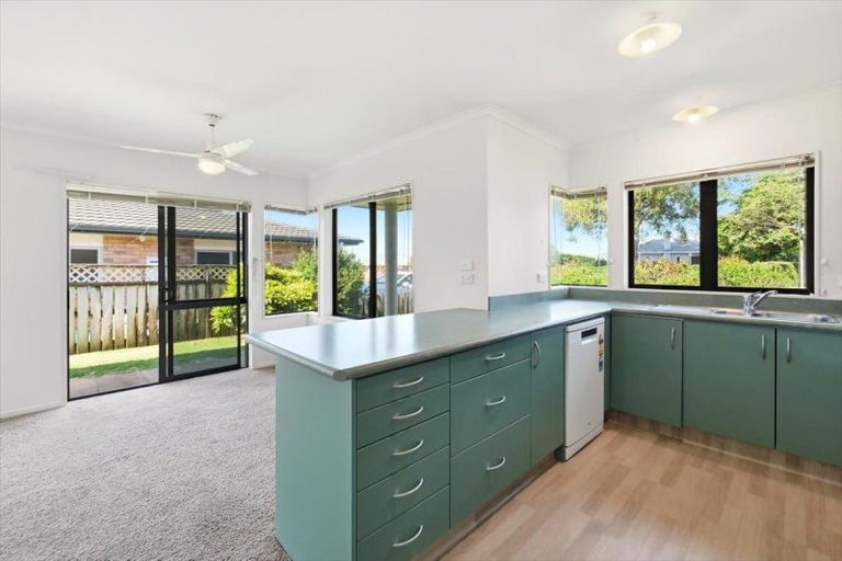 Photo of property in 53b Boucher Avenue, Te Puke, 3119
