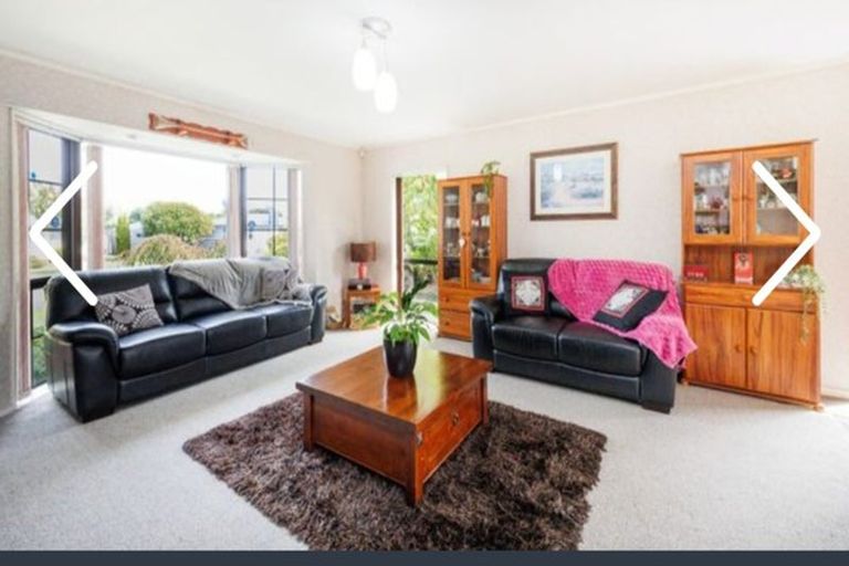 Photo of property in 155 Milson Line, Milson, Palmerston North, 4414