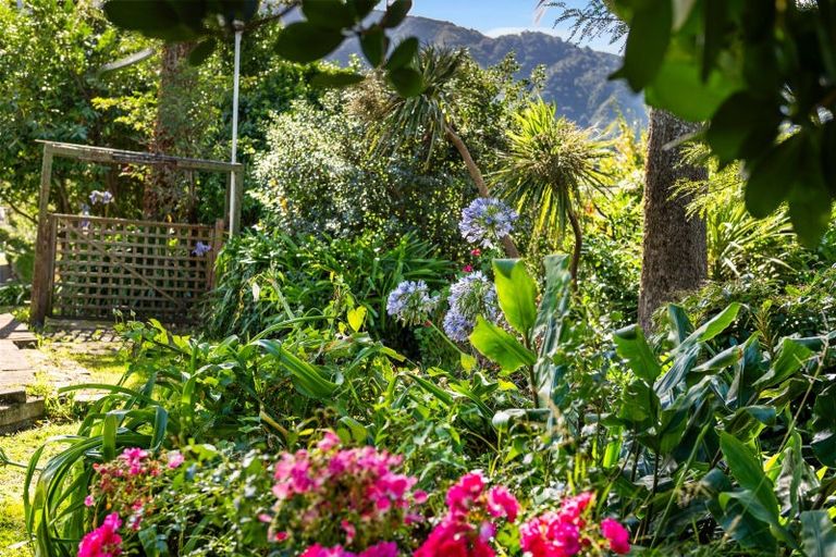 Photo of property in 59 York Street, Picton, 7220