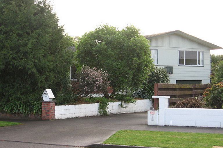 Photo of property in 74 Ruamahanga Crescent, Terrace End, Palmerston North, 4410