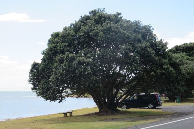 Photo of property in 600 Thames Coast Sh25 Road, Waiomu, Thames, 3575