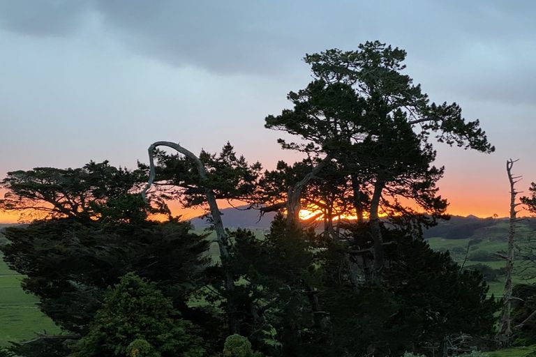 Photo of property in 501 Tara Road, Mangawhai, Kaiwaka, 0573