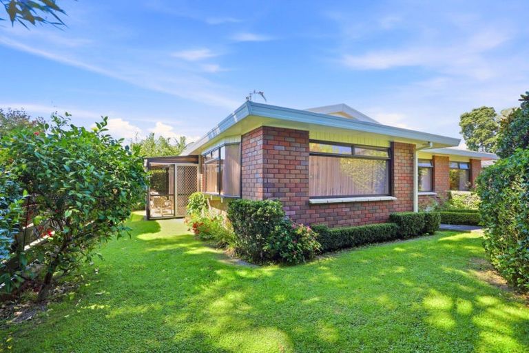 Photo of property in 47b Lydbrook Place, Otumoetai, Tauranga, 3110