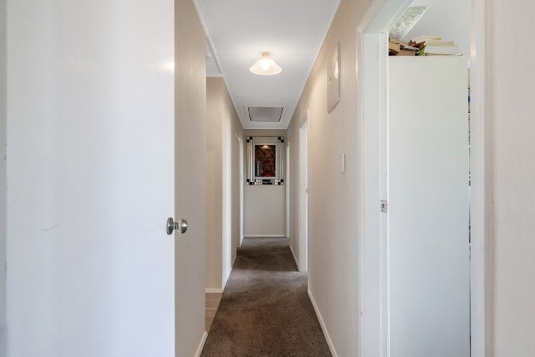 Photo of property in 31 Tyne Street, Roslyn, Dunedin, 9010