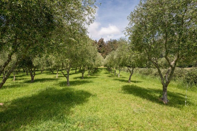 Photo of property in 145 Andrews Road, Wairoa Valley, Brightwater, 7091