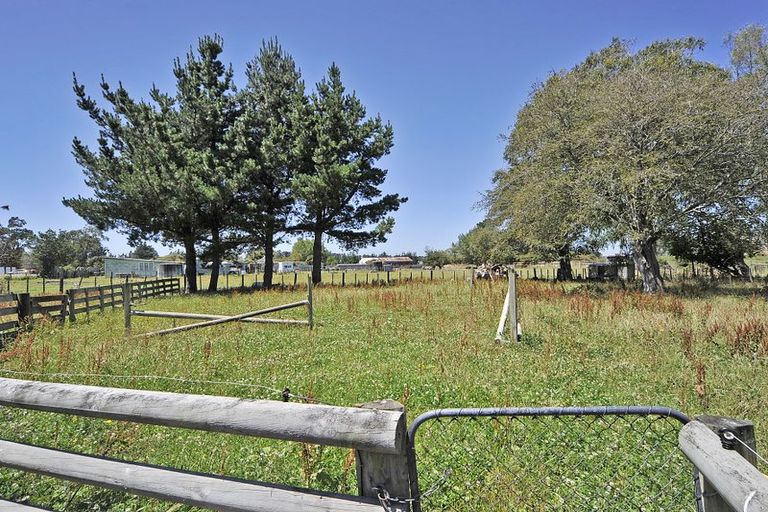 Photo of property in 19 Opawa Place, Terrace End, Palmerston North, 4410