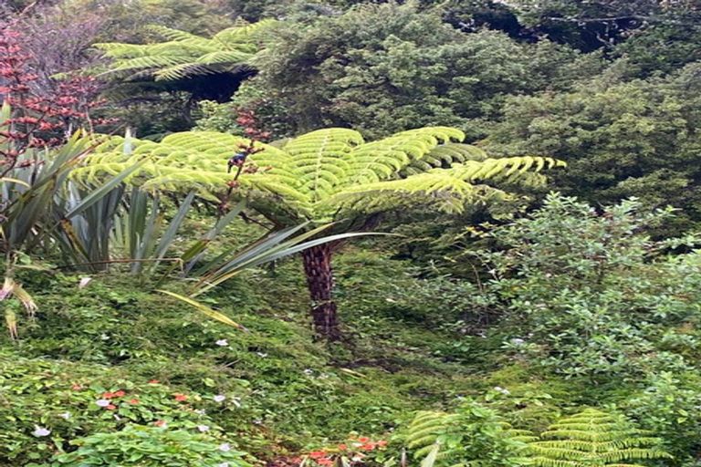 Photo of property in 1765 Kohumaru Road, Peria, Kaitaia, 0482