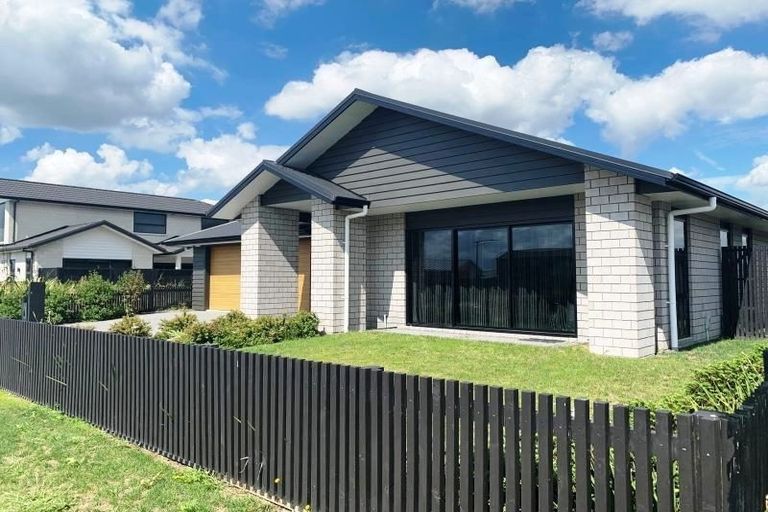 Photo of property in 41 Lulu Avenue, Chartwell, Hamilton, 3210